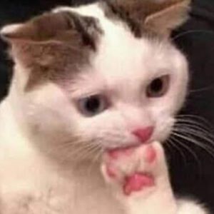 Meet your Posher, Rose